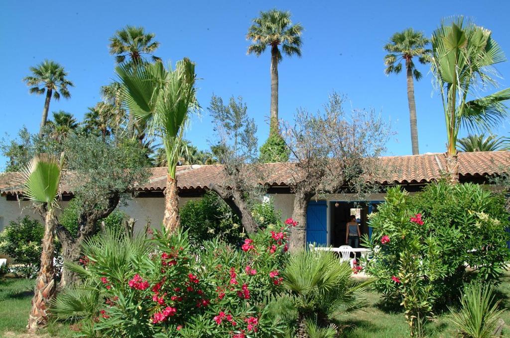La Palmeraie