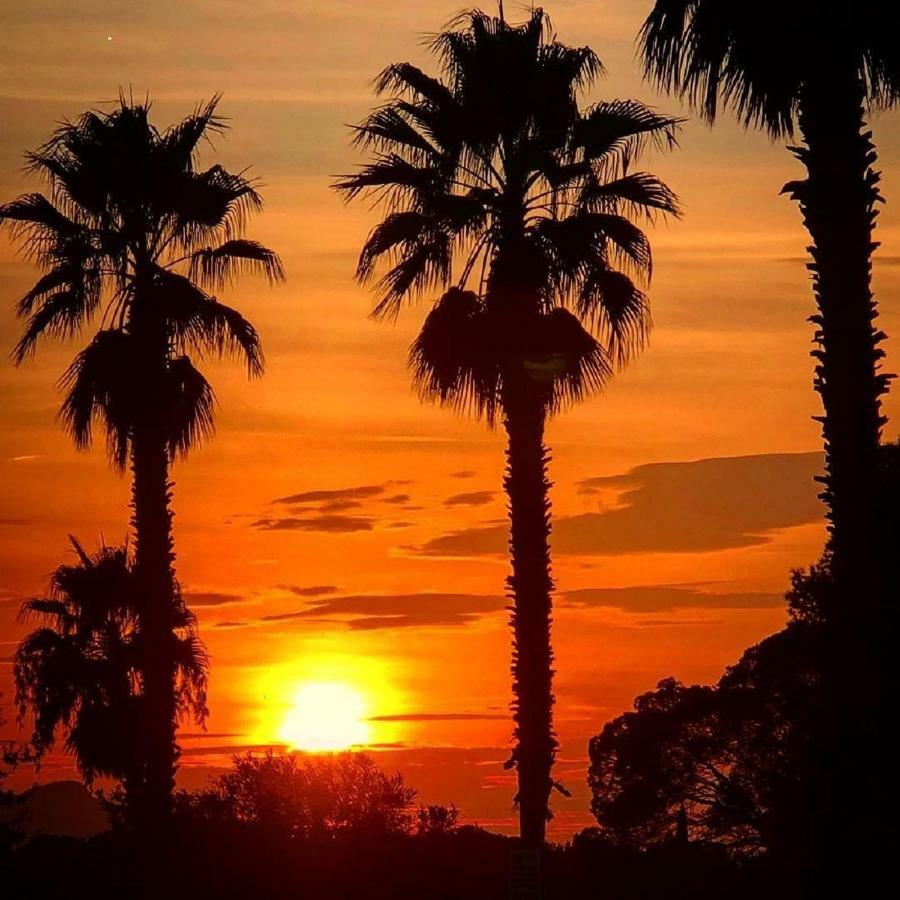 Resort La Palmeraie Frejus